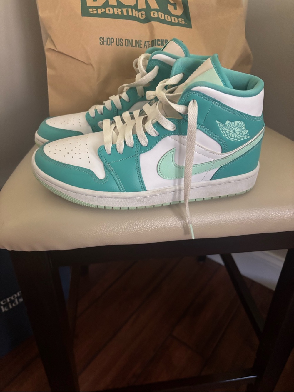 Nike High-Top Sneakers in White and Mint
